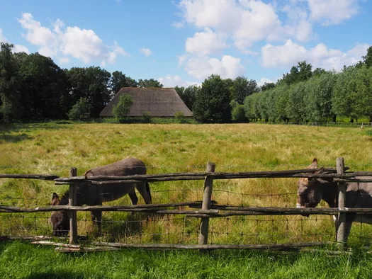 Openluchtmuseum Bokrijk (België)